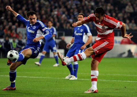 的敏捷身手 的敏捷身手